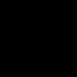 Meet your Posher, Miranda